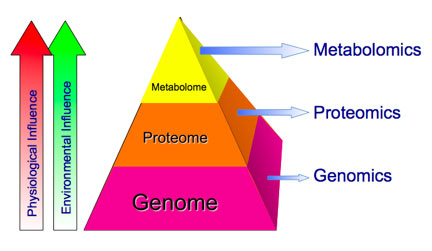 Metabolomics, Proteomics, Genomics